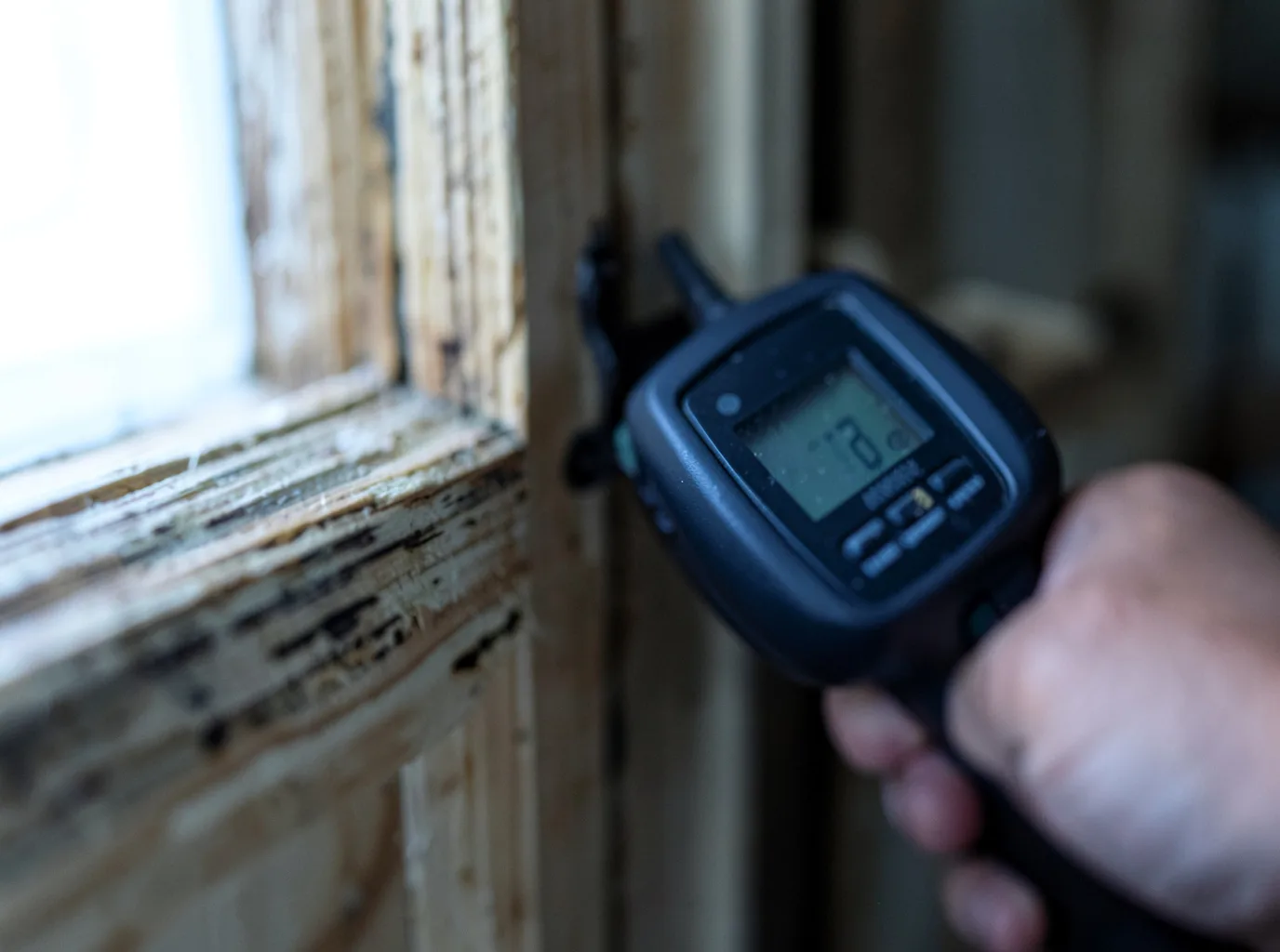 Moisture Inspection And Documentation in West Bend, IA